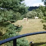 Am Eifelsteig Vakantiehuis Roetgen