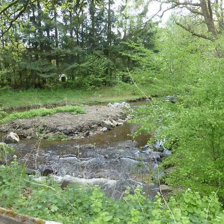 Am Eifelsteig Vakantiehuis