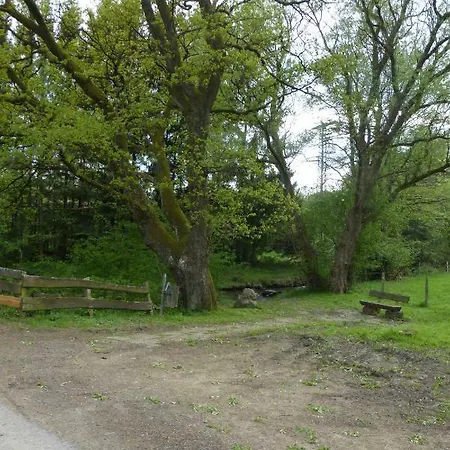 Am Eifelsteig Vakantiehuis