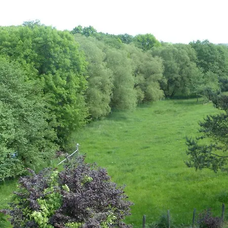 Am Eifelsteig * Roetgen