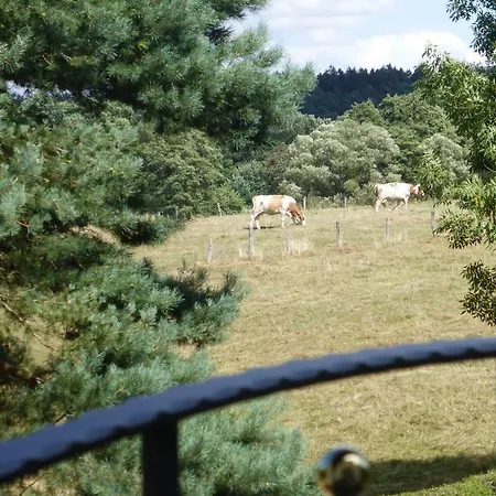 Am Eifelsteig Holiday home Roetgen