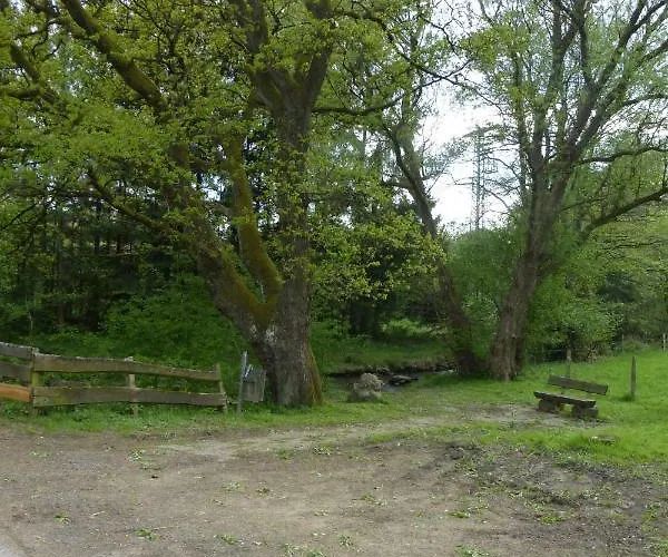 Am Eifelsteig Tatil Evi